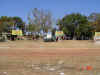 sucupira37.jpg (63008 bytes)